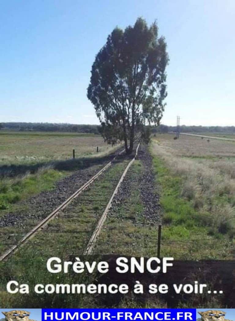 Greve-SNCF.-Ca-commence-a-se-voir-...-768x1051-2854289453.jpg