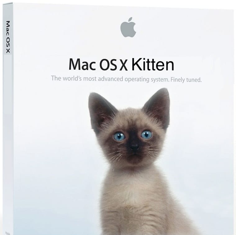 Mac OS X Kitten.jpg