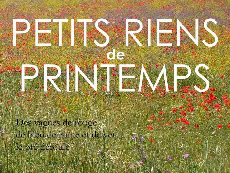 petits-riens-de-printemps-(1)3-3993274768.jpg