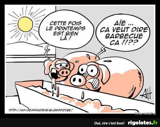 e8cd15a8-5b8d-4f06-aa98-5bcc48ac2b5a-1000003827.jpg