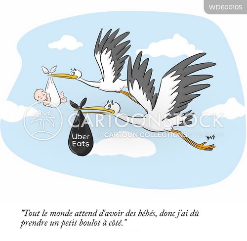cigogne-bebe-livraison_de_bebes-livrer-accouchement-WD600105_low-3084827095.jpg
