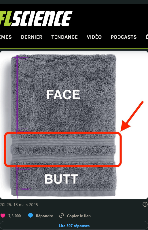 6e313656-4687-424a-b948-2d2be1e93ab2-image.png