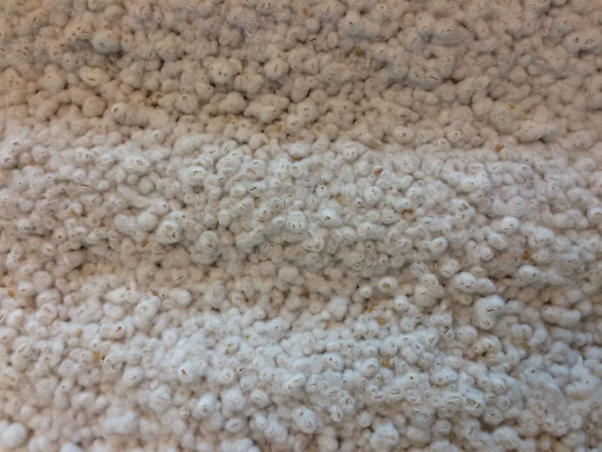 bfc724e7-dd71-40ee-b52d-86f27420e64a-image.png