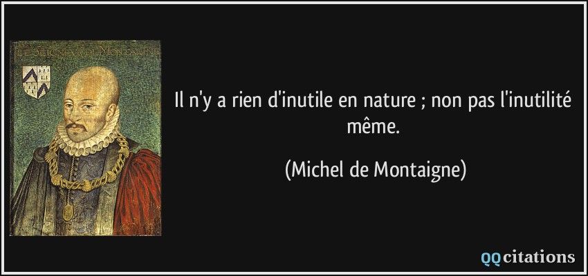 citation-il-n-y-a-rien-d-inutile-en-nature-non-pas-l-inutilite-meme-michel-de-montaigne-106563-266320183.jpg