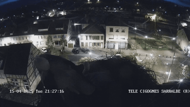 videoframe_15868.png