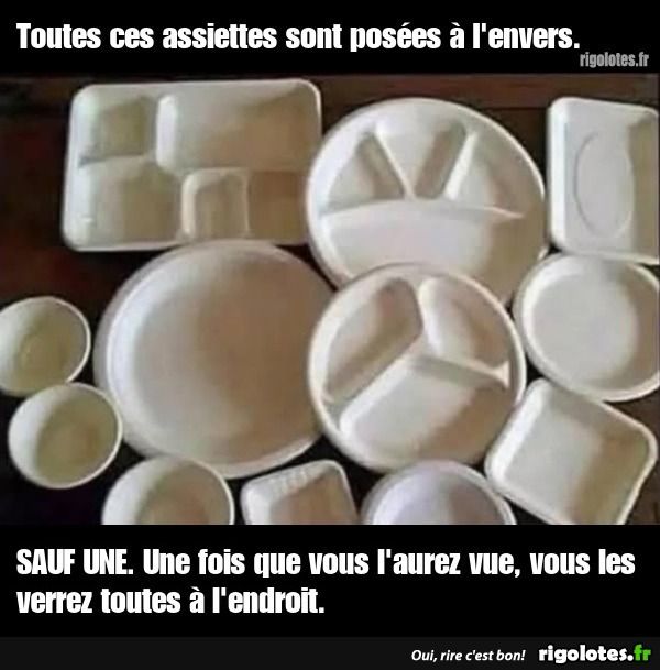 079b59a1-3192-4cad-abd4-676f47231277-1000003951.jpg