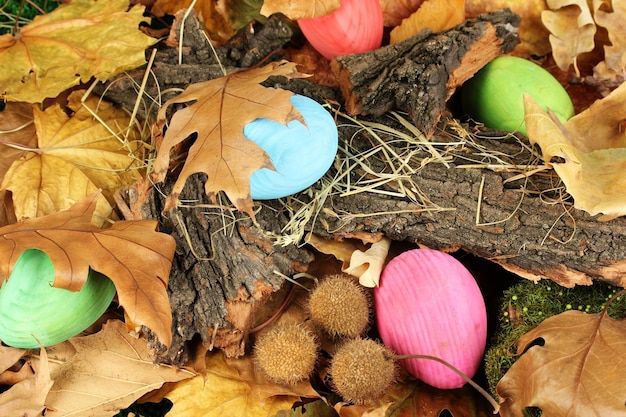 oeufs-paques-caches-dans-feuilles_392895-270694-440796895.jpg