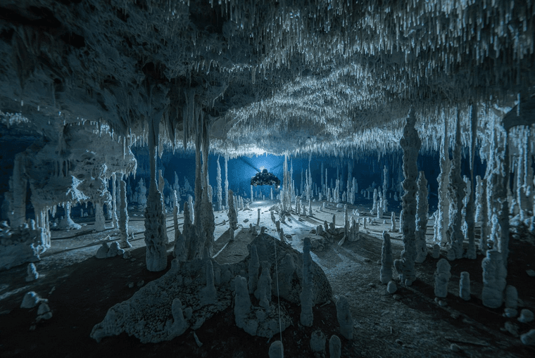 cff0ee95-c28f-4fb3-8a1d-c2377aa79b58-image.png