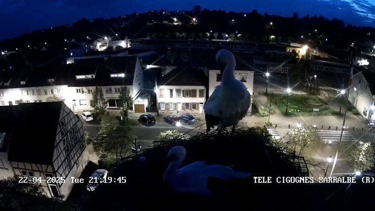 bg-webcam.jpg