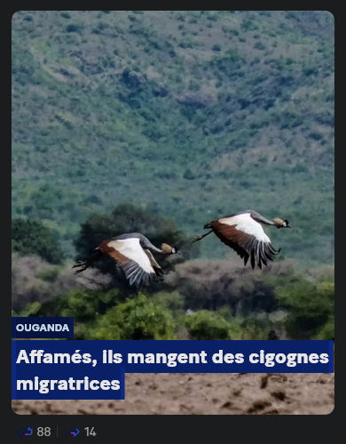 9dddcd55-3d67-4fd4-ab37-1ec46891c2b9-image.png