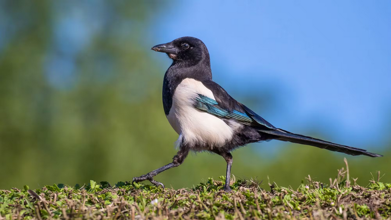 a7b1c6e4-fe53-41ef-a4a6-c9d2eb8212ef-image.png