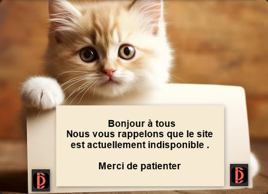 7c87beec-a4d5-4fc4-afab-3677d63c650d-image.png