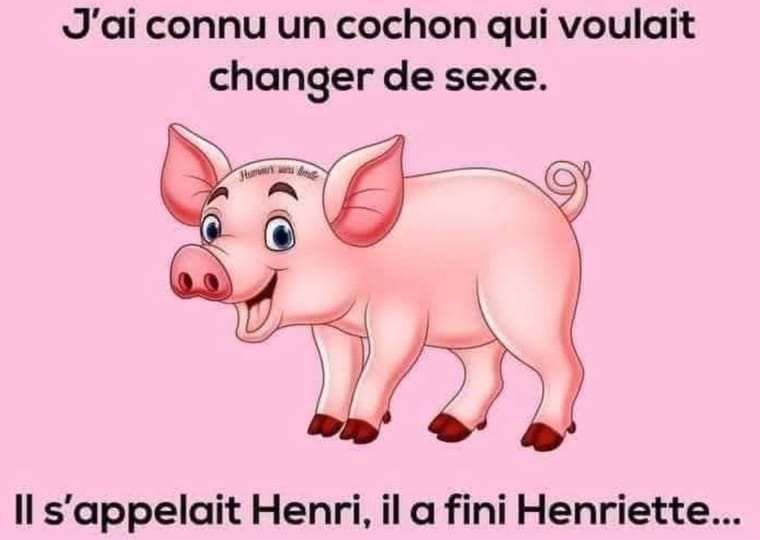 HenriHenriette.jpeg