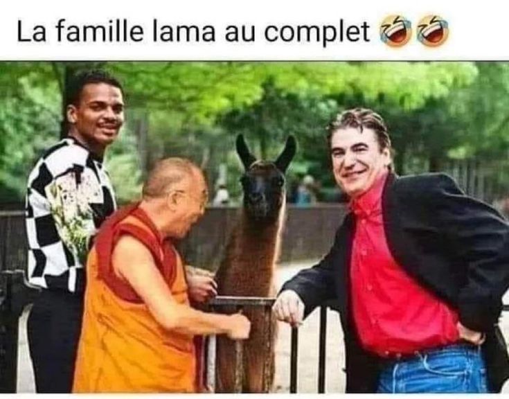 1000544282.jpg