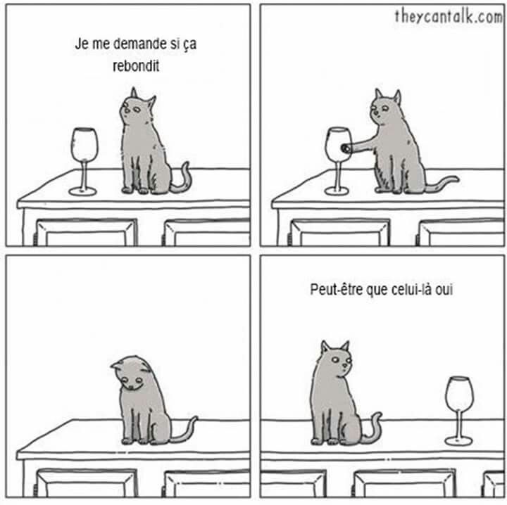 1000544380.jpg