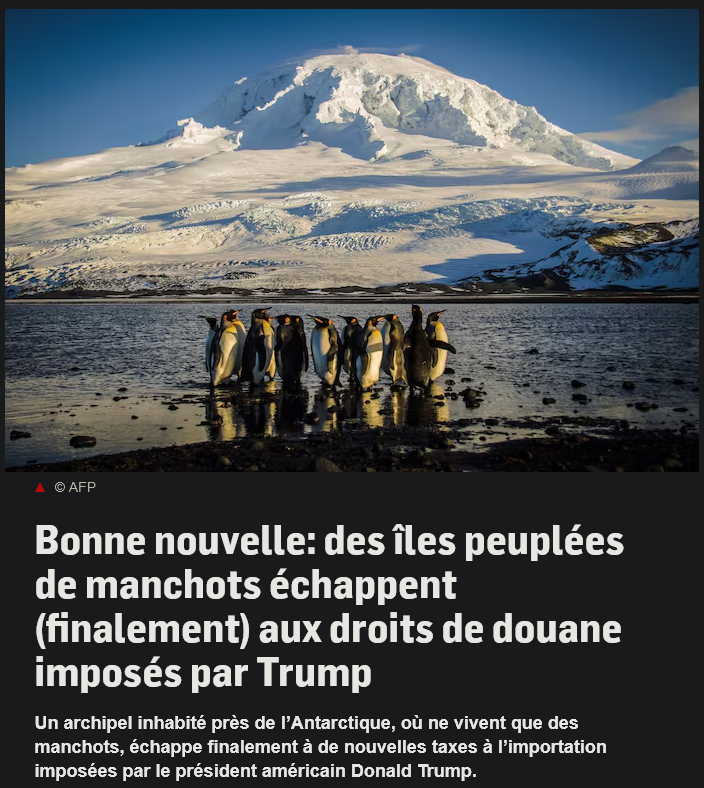 259d2347-087f-439d-b69a-79923dab47d0-image.png