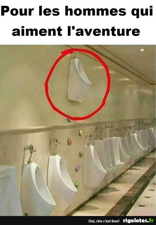 1000547282.jpg