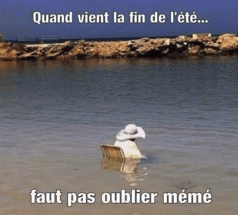 2533aa00-be93-47d3-bd4e-6f77d5b60c81-image.png