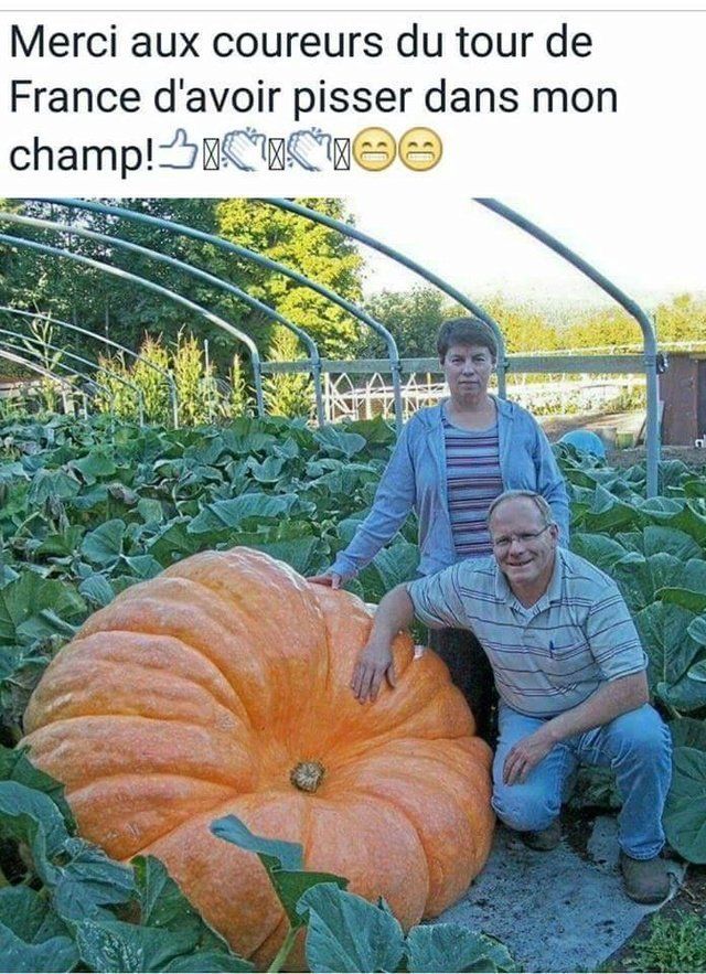 1000548860.jpg