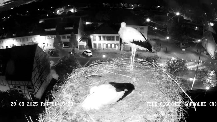 bg-webcam.jpg