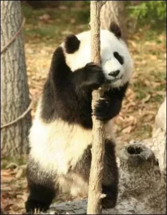 93-insolite-07.jpg