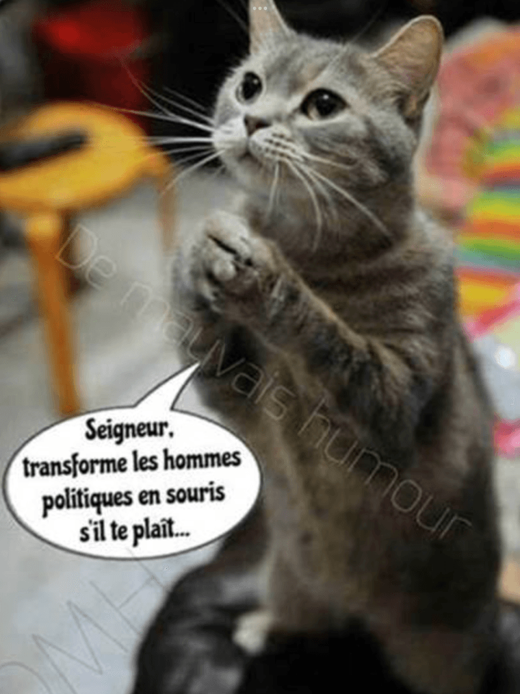 f102dbee785995ffd45ea340ce36e5ce-1811578444.png