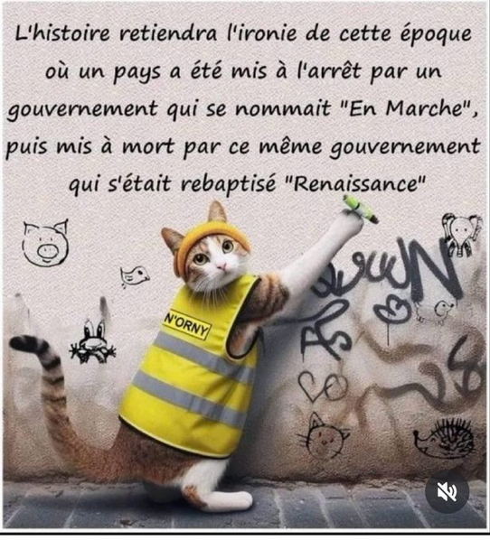 2fd9ba8e-62c6-4b07-b826-ac88de4ed5dc-image.png