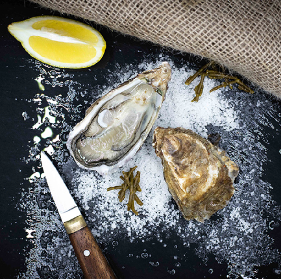 Massacre des huîtres.png