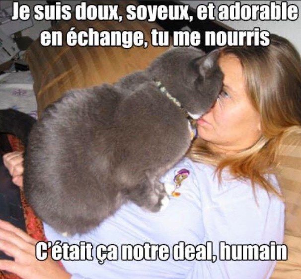 2._Deal_avec_mon_humain-3395410417.jpg