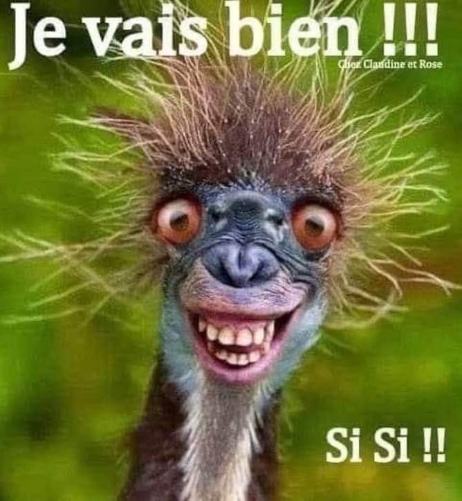 LA ROUE TOURNE SI SI DANGEREUSEMENT POUR TOUS LES RÉPUGNANTS.jpg