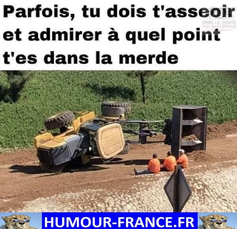 Parfois-tu-dois-tasseoir-et-admirer-a-quel-point-tes-dans-la-merde.-891510165.jpg